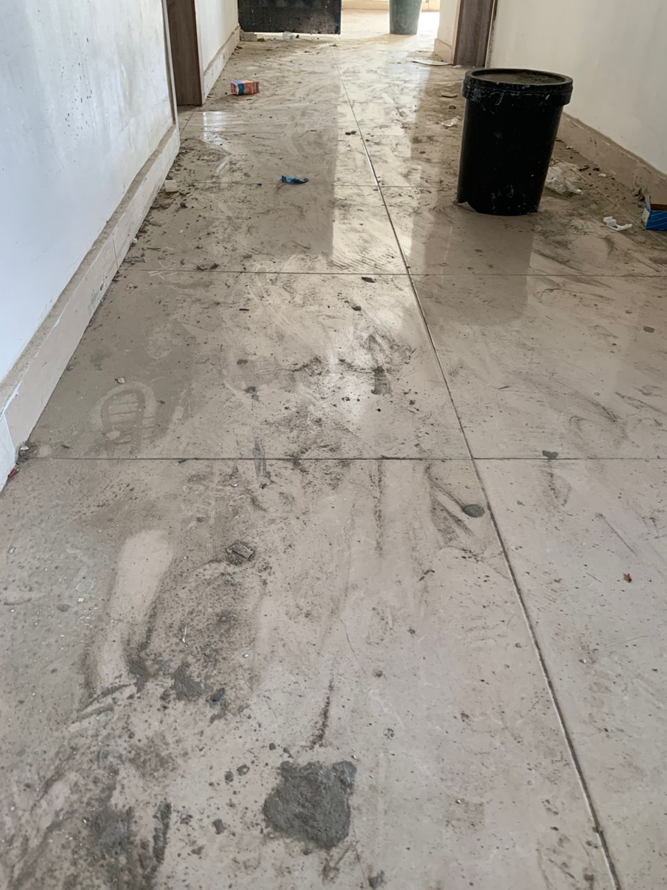 Pest Control Service